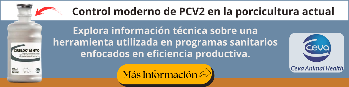 Conoce una alternativa utilizada en programas modernos de inmunización en cerdos destetados.