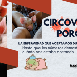 Circovirus Porcino: la enfermedad que durante años aceptamos… hasta que los números demostraron cuánto nos estaba costando