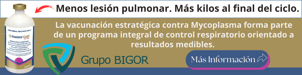 Menos lesión pulmonar. Más kilos al final del ciclo.