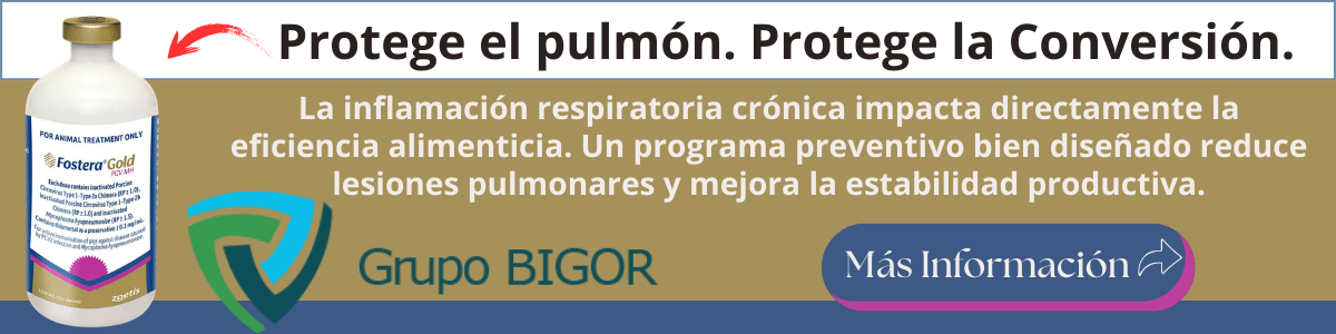 Protege el pulmón. Protege la Conversión.