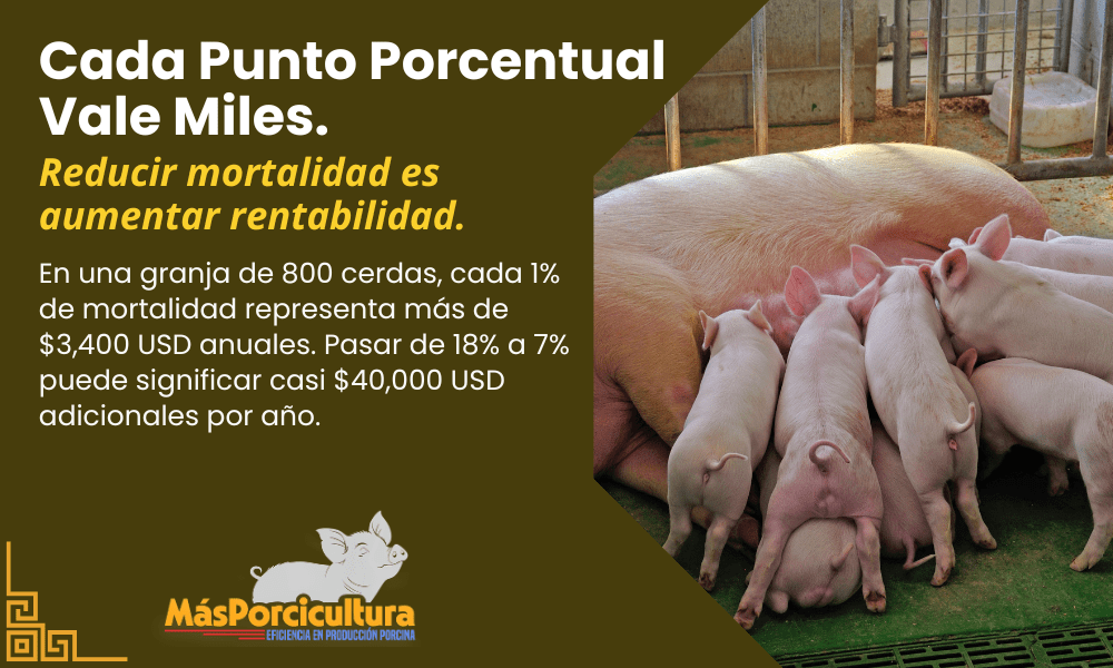 Cada Punto Porcentual Vale Miles. 