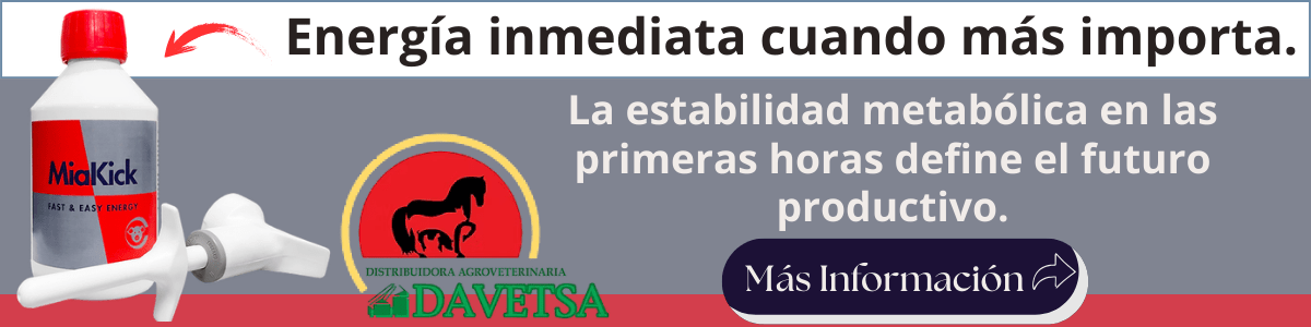 Energía inmediata cuando más importa.