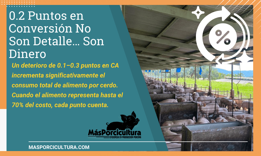 0.2 Puntos en Conversión No Son Detalle… Son Dinero