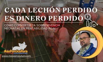 Cada Lechón Perdido es Dinero Perdido: Cómo Convertir la Sobrevivencia Neonatal en Rentabilidad Real