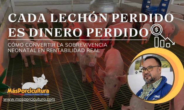 Cada Lechón Perdido es Dinero Perdido: Cómo Convertir la Sobrevivencia Neonatal en Rentabilidad Real