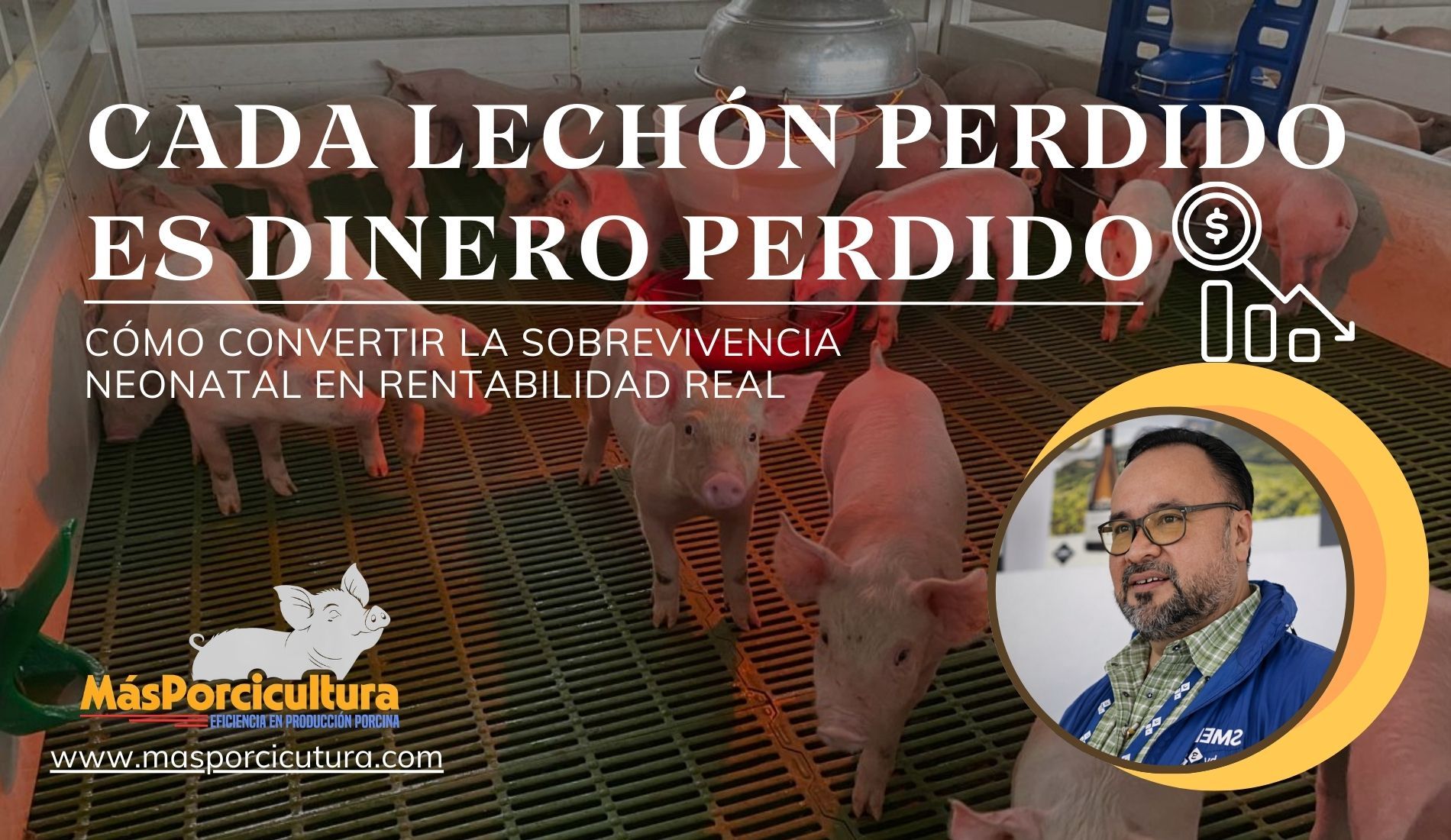 Cada Lechón Perdido es Dinero Perdido: Cómo Convertir la Sobrevivencia Neonatal en Rentabilidad Real