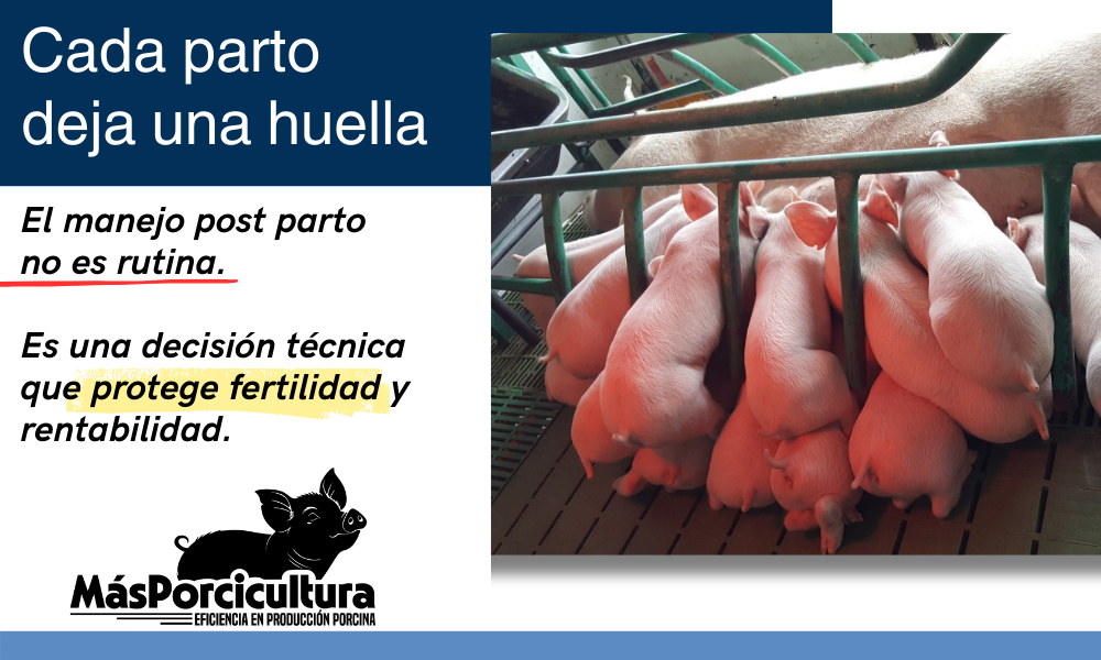 Cada parto deja una huella