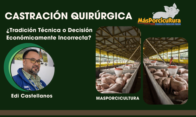 La Castración Quirúrgica en Cerdos: ¿Tradición Técnica… o Decisión Económicamente Incorrecta?