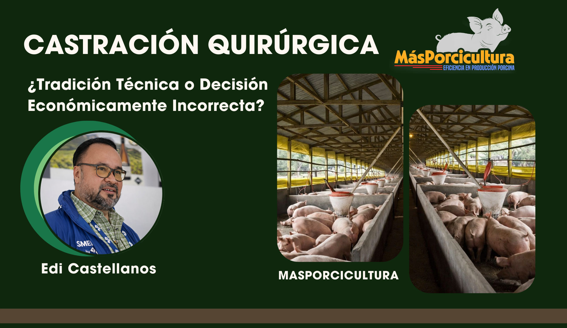 La Castración Quirúrgica en Cerdos: ¿Tradición Técnica… o Decisión Económicamente Incorrecta?