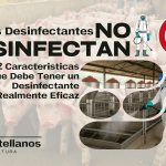 Muchos Desinfectantes No Desinfectan: Las 12 Características que Debe Tener un Desinfectante Realmente Eficaz en Granjas Porcinas