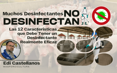 Muchos Desinfectantes No Desinfectan: Las 12 Características que Debe Tener un Desinfectante Realmente Eficaz en Granjas Porcinas