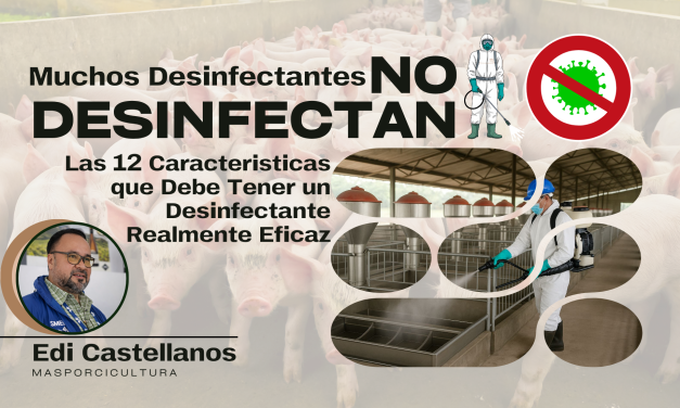 Muchos Desinfectantes No Desinfectan: Las 12 Características que Debe Tener un Desinfectante Realmente Eficaz en Granjas Porcinas