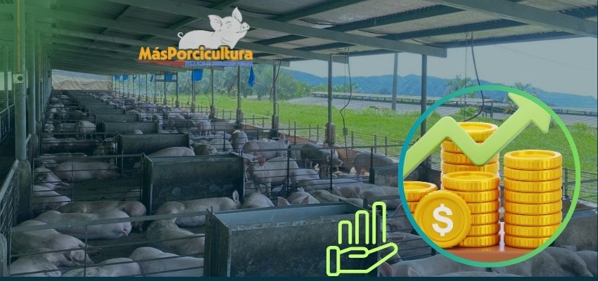 La Tradición También Tiene Costo