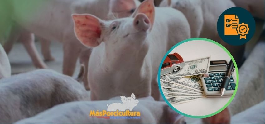 La Tradición También Tiene Costo