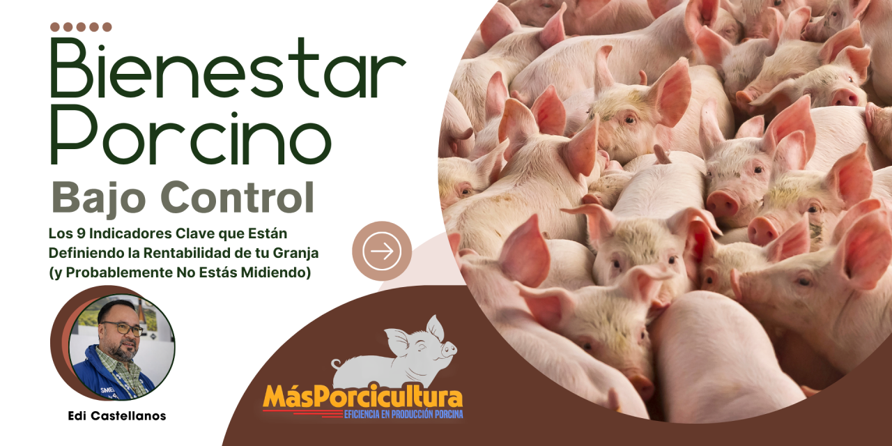 Bienestar Porcino Bajo Control: Los 9 Indicadores Clave que Están Definiendo la Rentabilidad de tu Granja (y Probablemente No Estás Midiendo)