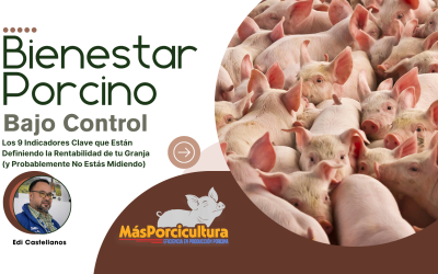 Bienestar Porcino Bajo Control: Los 9 Indicadores Clave que Están Definiendo la Rentabilidad de tu Granja (y Probablemente No Estás Midiendo)