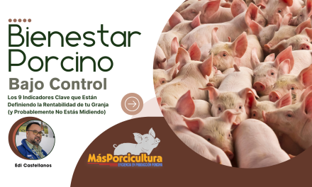 Bienestar Porcino Bajo Control: Los 9 Indicadores Clave que Están Definiendo la Rentabilidad de tu Granja (y Probablemente No Estás Midiendo)