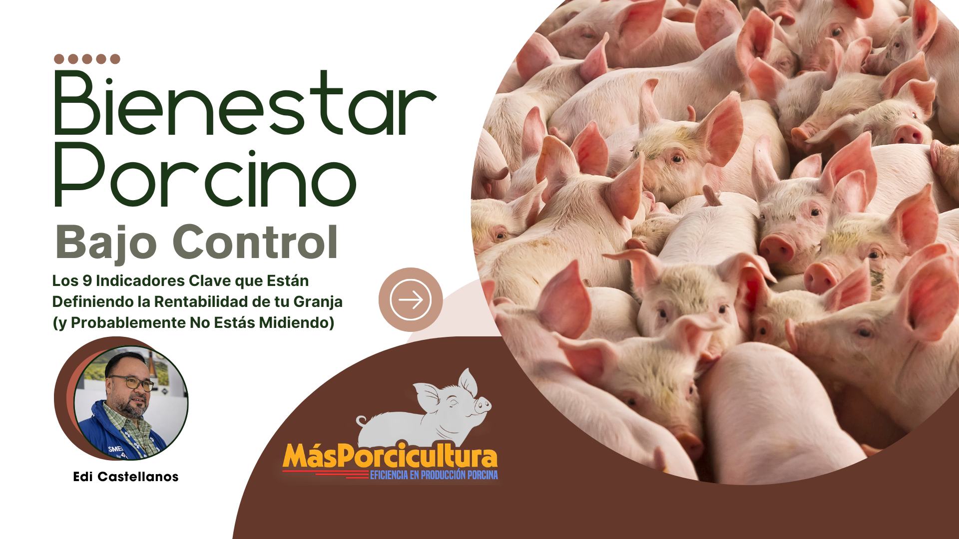 Bienestar Porcino Bajo Control: Los 9 Indicadores Clave que Están Definiendo la Rentabilidad de tu Granja (y Probablemente No Estás Midiendo)