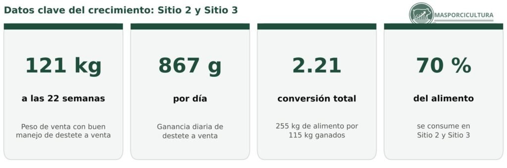 Datos clave del crecimiento de cerdos: 121 kg a las 22 semanas, 867 g por día, conversión 2.21