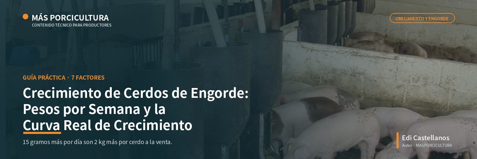 Crecimiento de cerdos de engorde: pesos por semana y curva real de crecimiento
