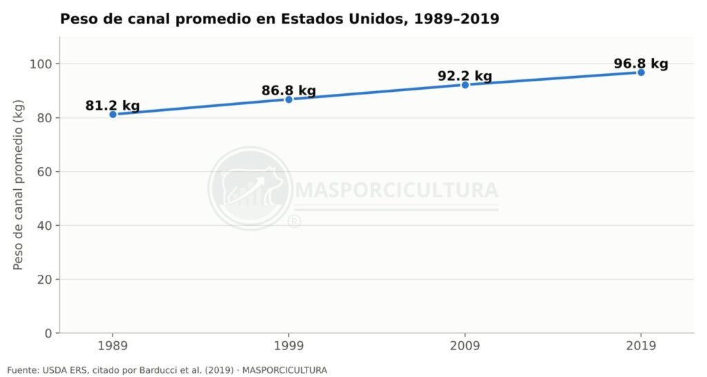 Evolución del peso de canal promedio del cerdo en Estados Unidos de 1989 a 2019