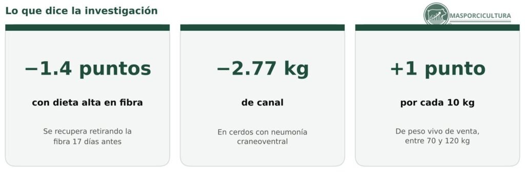 Factores que afectan el rendimiento en canal según la investigación