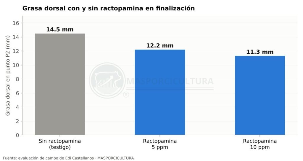 Grasa dorsal en punto P2 de cerdos con y sin ractopamina