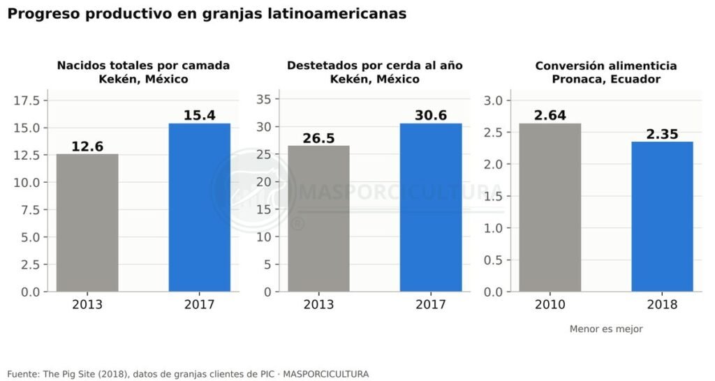 Progreso productivo en granjas porcinas de México y Ecuador