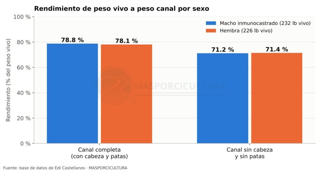 Rendimiento de peso vivo a peso canal de macho inmunocastrado y hembra