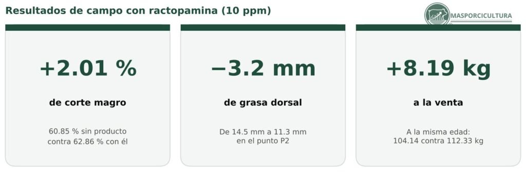 Resultados de campo con ractopamina en cerdos de finalización